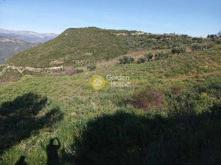 Αγροτεμάχια 11.200 τ.μ. προς πώληση, Αχλαδιά Αιγίου-thumb-4