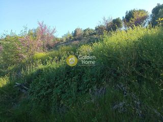 Αγροτεμάχια 11.200 τ.μ. προς πώληση, Αχλαδιά Αιγίου-thumb-5