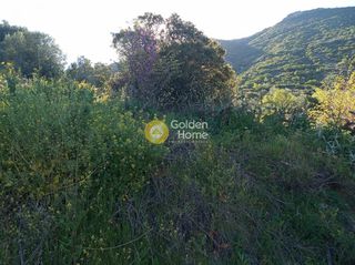 Αγροτεμάχια 11.200 τ.μ. προς πώληση, Αχλαδιά Αιγίου-thumb-6