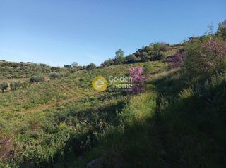Αγροτεμάχια 11.200 τ.μ. για πώληση