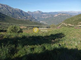 Αγροτεμάχια 11.200 τ.μ. προς πώληση, Αχλαδιά Αιγίου-thumb-1