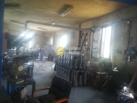 Business 440 sqm for sale