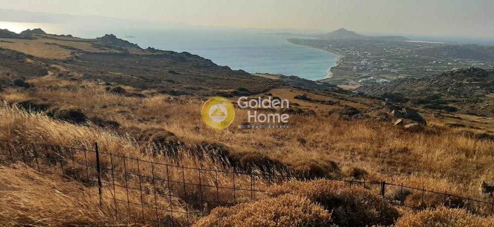 Αγροτεμάχια 2.000 τ.μ. προς πώληση, Πλάκα Νάξου