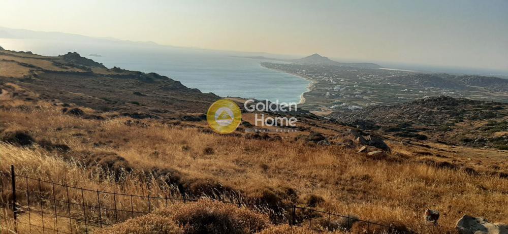 Αγροτεμάχια 2.000 τ.μ. προς πώληση, Πλάκα Νάξου