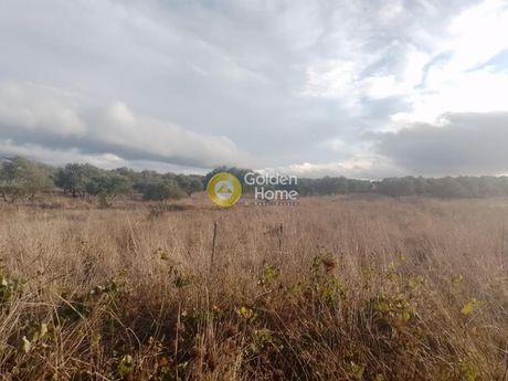 Parcel 1.217sqm for sale-Kastelli » Evaggelismos