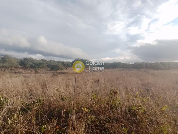 Αγροτεμάχια 1.217 τ.μ. για πώληση, Ν. Ηρακλείου, Καστέλλι