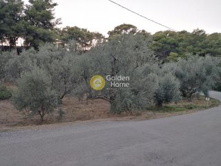 Οικόπεδο 904 τ.μ. για πώληση