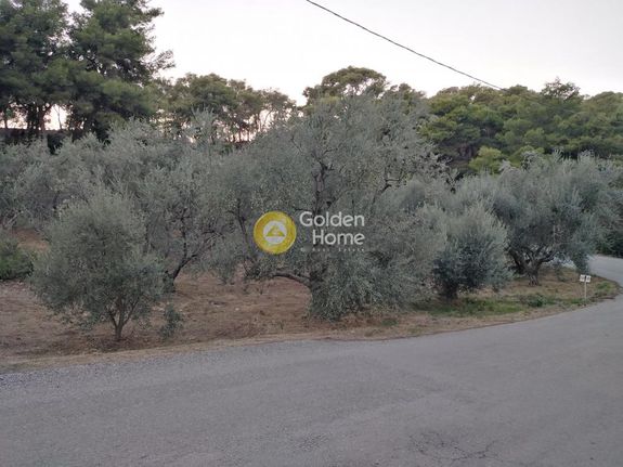 Οικόπεδο 904 τ.μ. για πώληση, Αχαΐα, Αιγείρα