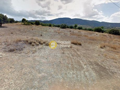 Οικόπεδο 15.000τ.μ. για πώληση-Ωρωπός » Μπάφι