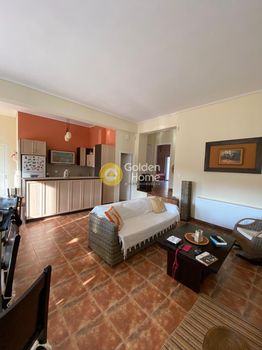 Maisonette 240sqm for sale-Anthidonos » Skroponeria