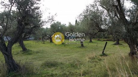 Parcel 3.174sqm for sale-Efpalio » Managouli