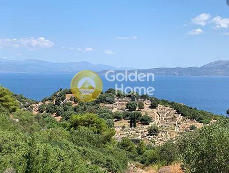 Parcel 13.700sqm for sale-Grammatiko » Grammatiko - Center