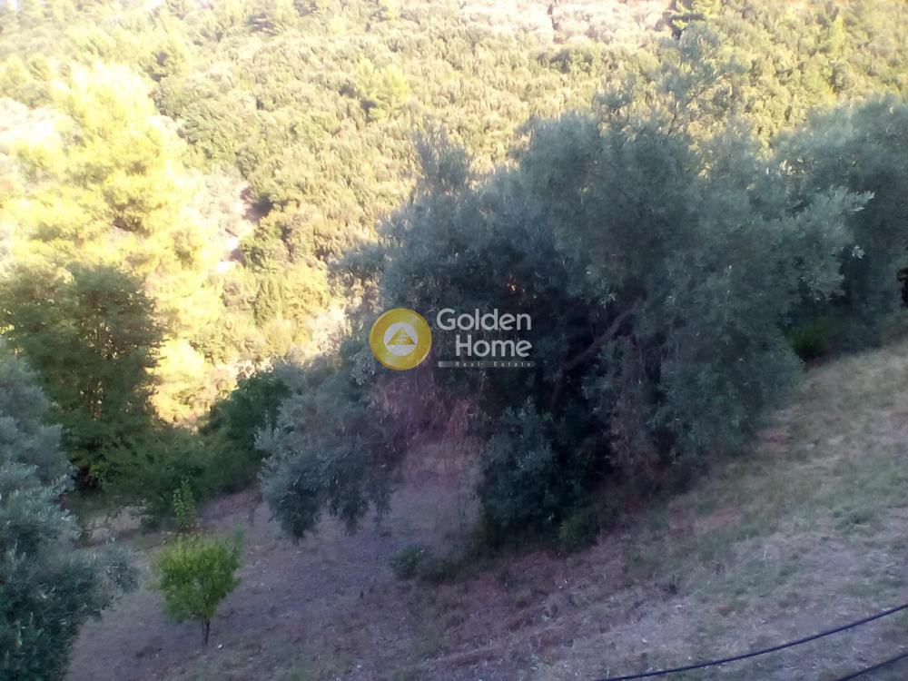 Μονοκατοικία 68 τ.μ. προς πώληση, Αχλάδι Νηλέως