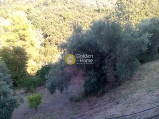 Μονοκατοικία 68 τ.μ. προς πώληση, Αχλάδι Νηλέως-thumb-4