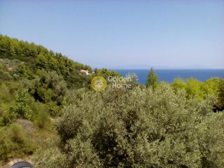 Μονοκατοικία 68 τ.μ. προς πώληση, Αχλάδι Νηλέως-thumb-7