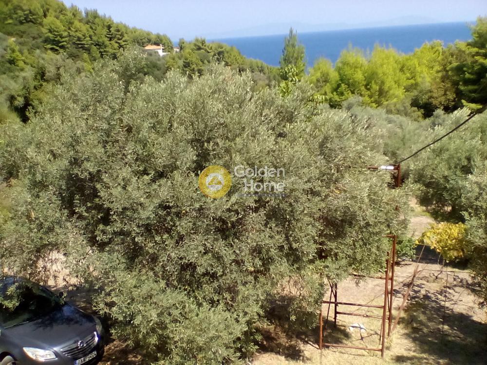 Μονοκατοικία 68 τ.μ. προς πώληση, Αχλάδι Νηλέως