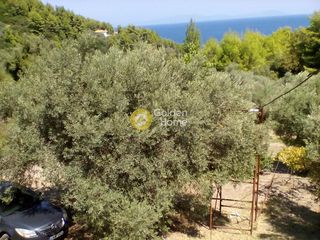 Μονοκατοικία 68 τ.μ. προς πώληση, Αχλάδι Νηλέως-thumb-1