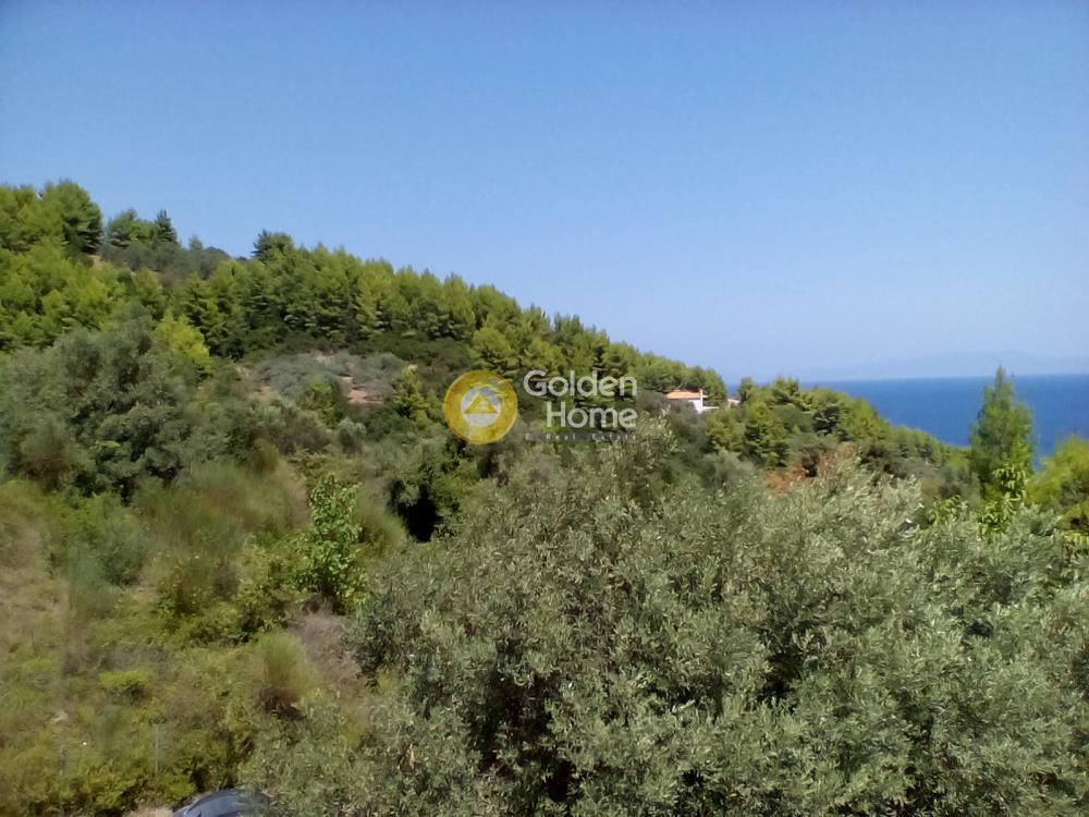 Μονοκατοικία 68 τ.μ. προς πώληση, Αχλάδι Νηλέως