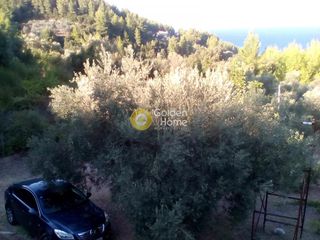 Μονοκατοικία 68 τ.μ. προς πώληση, Αχλάδι Νηλέως-thumb-6