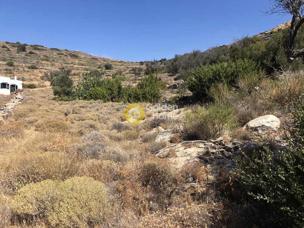 Αγροτεμάχια 14.000 τ.μ. προς πώληση, Ανερατζά