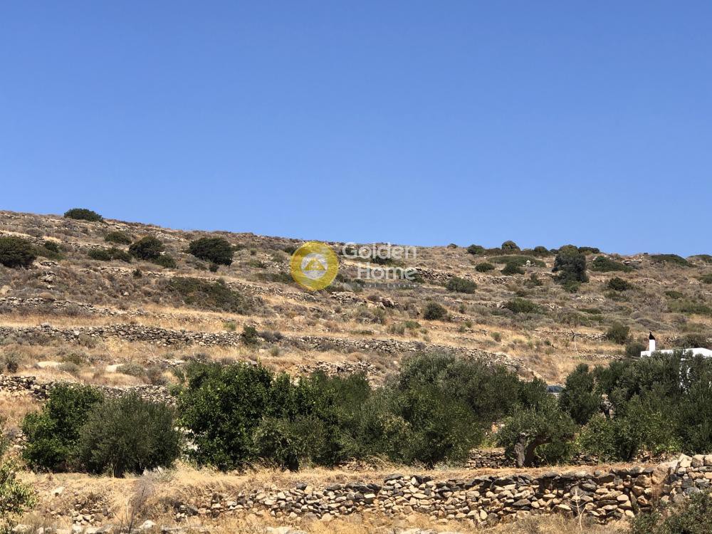 Αγροτεμάχια 14.000 τ.μ. προς πώληση, Ανερατζά