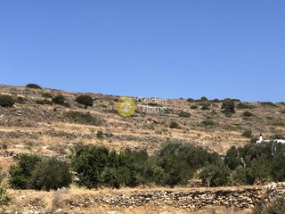 Αγροτεμάχια 14.000 τ.μ. για πώληση