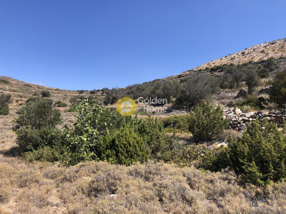 Αγροτεμάχια 14.000 τ.μ. προς πώληση, Ανερατζά