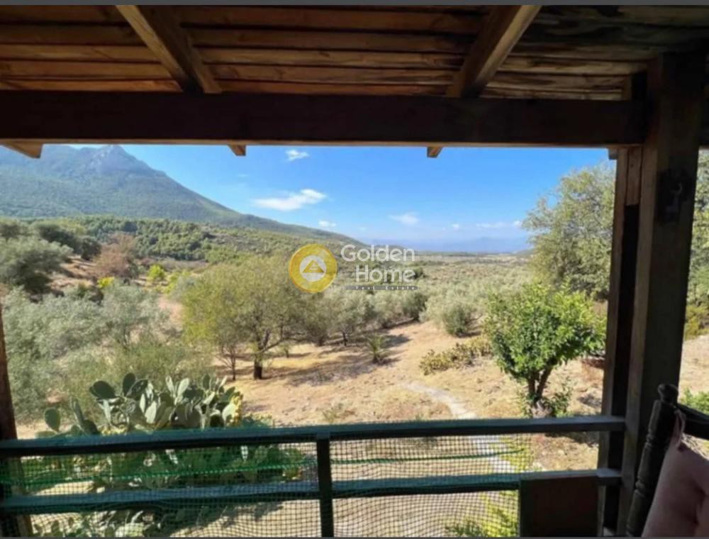Αγροτεμάχια 5.300 τ.μ. προς πώληση, Περαχώρα