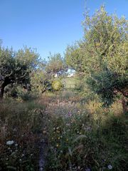 Οικόπεδο 1.192 τ.μ. για πώληση