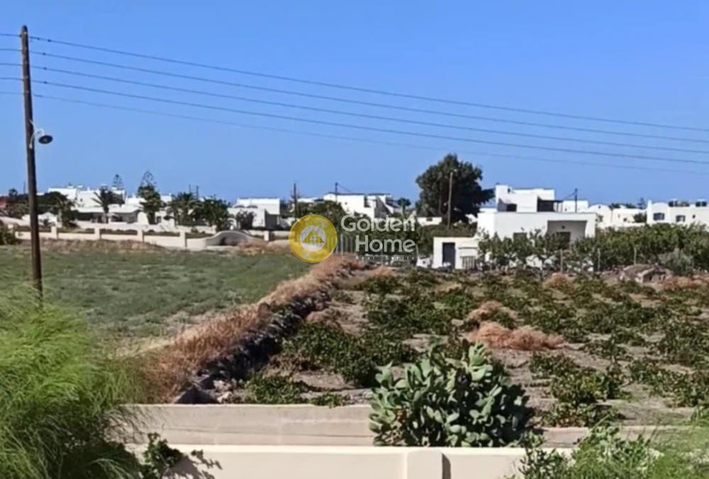 Οικόπεδο 4.000 τ.μ. προς πώληση, Θήρα