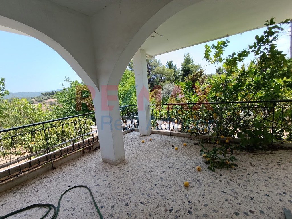 Μονοκατοικία 165 τ.μ. πρός πώληση, Αττική - Υπόλοιπο, Μαρκόπουλο Ωρωπού