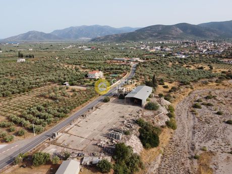 Αγροτεμάχια 5.004 τ.μ. για πώληση