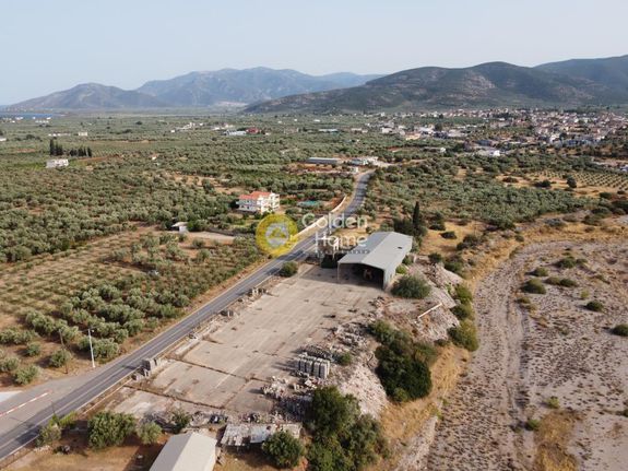 Αγροτεμάχια 5.004 τ.μ. για πώληση, Αρκαδία, Βόρεια Κυνουρία