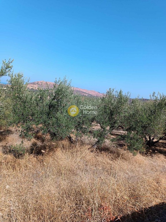 Οικόπεδο 22.000 τ.μ. πρός πώληση, Ν. Ρεθύμνου, Γεροπόταμος