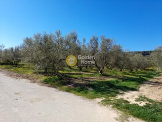 Αγροτεμάχια 3.325 τ.μ. για πώληση