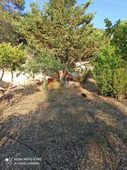 Αγροτεμάχια 1.300 τ.μ. για πώληση