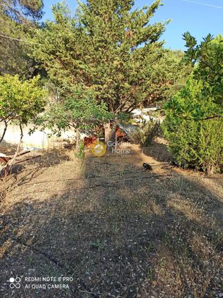 Αγροτεμάχια 1.300 τ.μ. για πώληση, Κορινθία, Σολύγεια