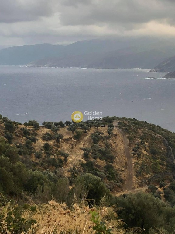 Οικόπεδο 65.000 τ.μ. προς πώληση, Τσακαίοι