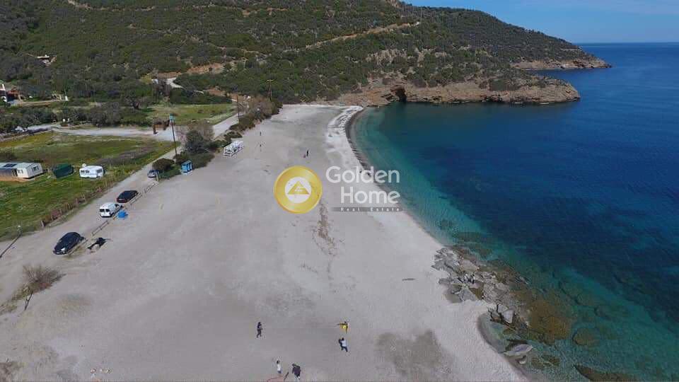 Οικόπεδο 65.000 τ.μ. προς πώληση, Τσακαίοι