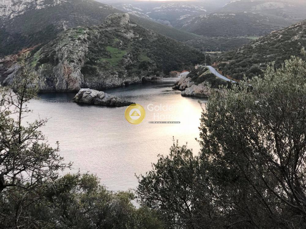 Οικόπεδο 65.000 τ.μ. προς πώληση, Τσακαίοι