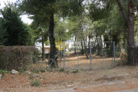 Οικόπεδο 700 τ.μ. για πώληση