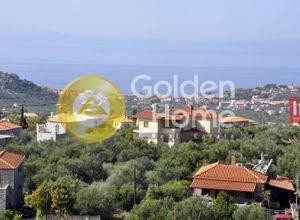 Οικόπεδο 443 τ.μ. προς πώληση, Πανόραμα Φενεού