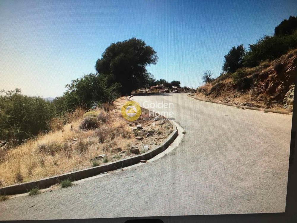 Οικόπεδο 527 τ.μ. προς πώληση, Κάτω Αετός