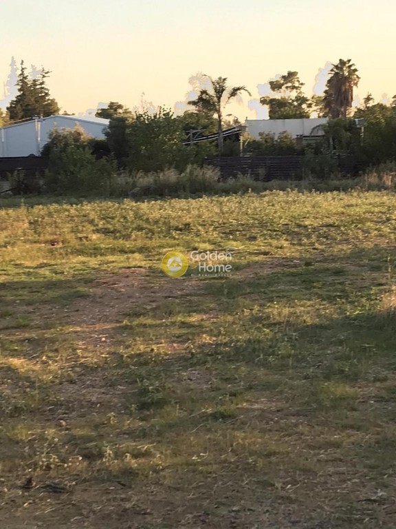 Αγροτεμάχια 40.000 τ.μ. προς ενοικίαση, Αθήνα - Δυτικά Προάστια, Αχαρνές