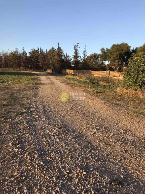 Αγροτεμάχια 40.000 τ.μ. προς ενοικίαση, Αθήνα - Δυτικά Προάστια, Αχαρνές