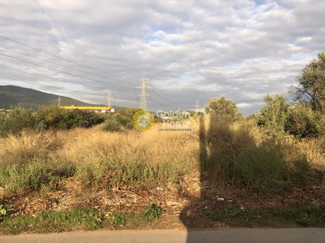 Οικόπεδο 4.464 τ.μ. για πώληση