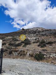 Οικόπεδο 4.100 τ.μ. για πώληση