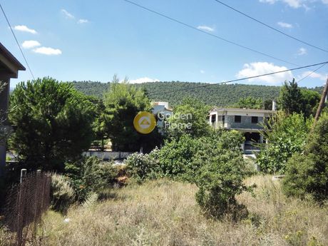 Land plot 338 sqm for sale