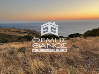 Αγροτεμάχια 10.141 τ.μ. πρός πώληση