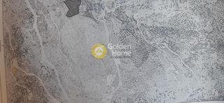 Αγροτεμάχια 10.278 τ.μ. για πώληση